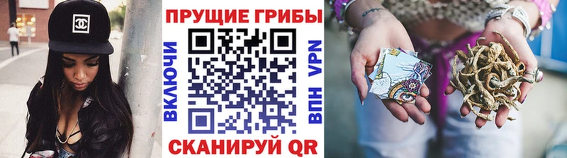 Псилоцибиновые грибы ЛСД  Боготол 